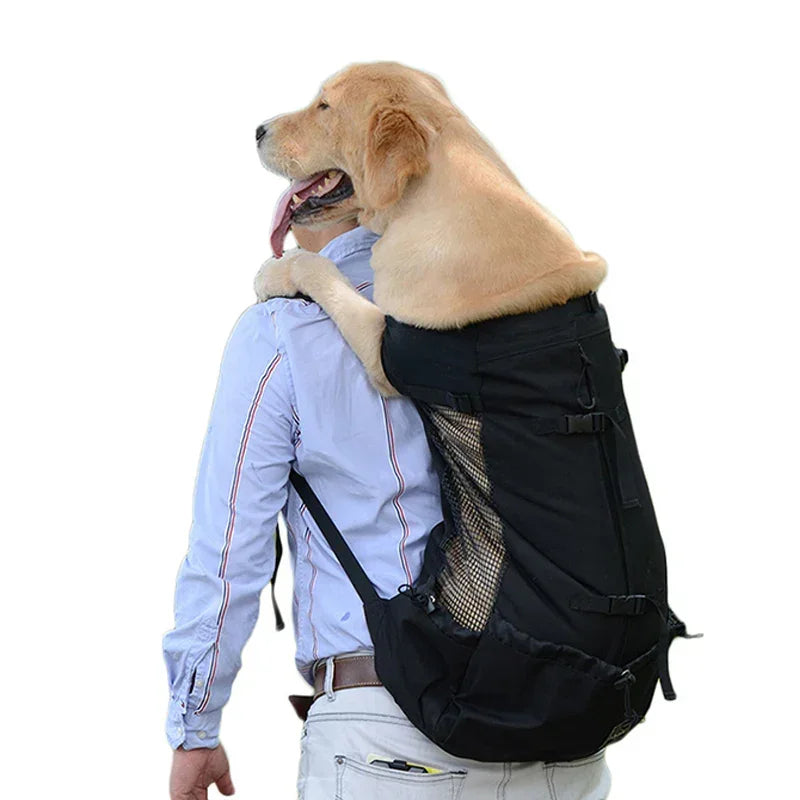 Man carries large golden retriever in black dog backpack carrier on white background