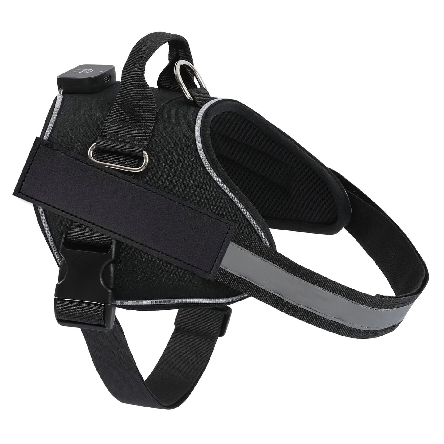HarnessBuddy™ Lumina - Personalized LED Dog Harness