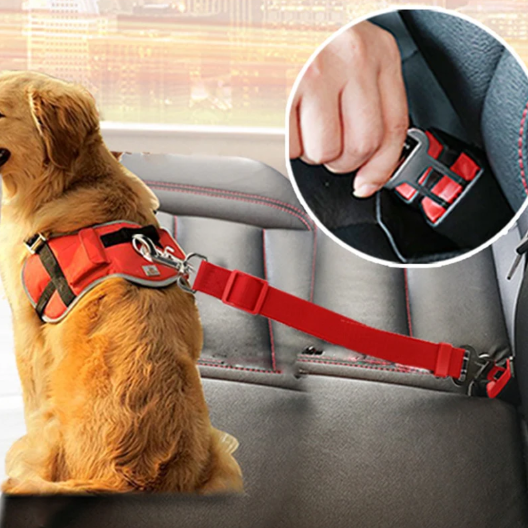 HarnessBuddy™ Car Safety Strap