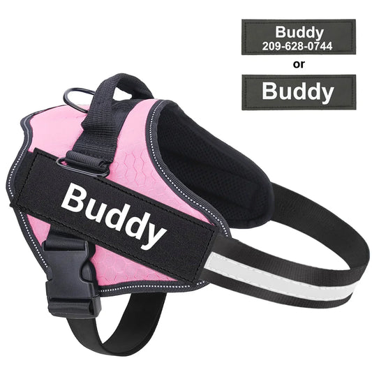 Light pink personalized dog harness with 'Buddy' name tag and adjustable straps