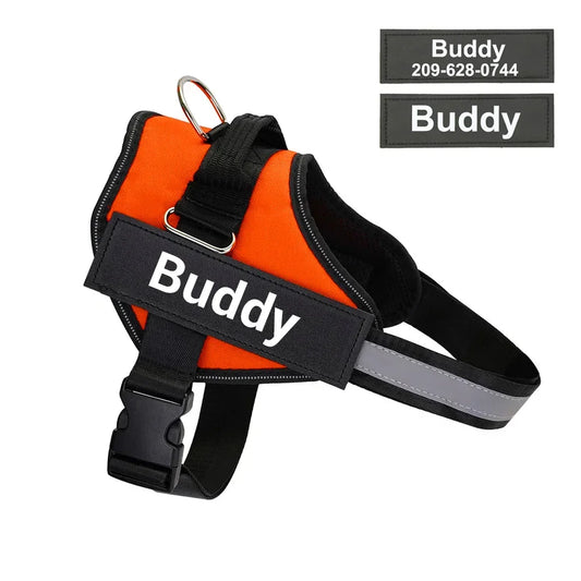 Orange dog harness with handle, reflective strap, and Buddy name patch