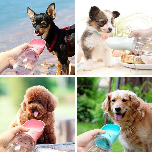 Collage of dogs drinking from portable pet water bottles outdoors and indoors