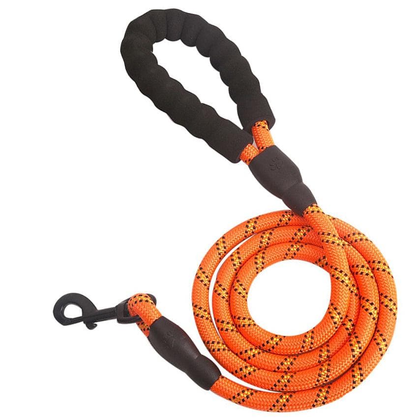 5 ft. (1.5m) HarnessBuddy Dog Leash - HarnessBuddy