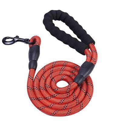 5 ft. (1.5m) HarnessBuddy Dog Leash - HarnessBuddy