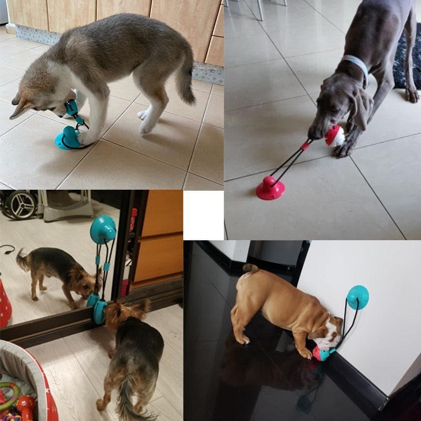 Dogs playing with suction cup tug toy on tile and wood floors, interactive pet toy
