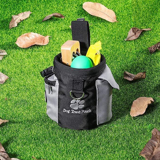 Dog treat pouch with toys and accessories on green grass with scattered leaves