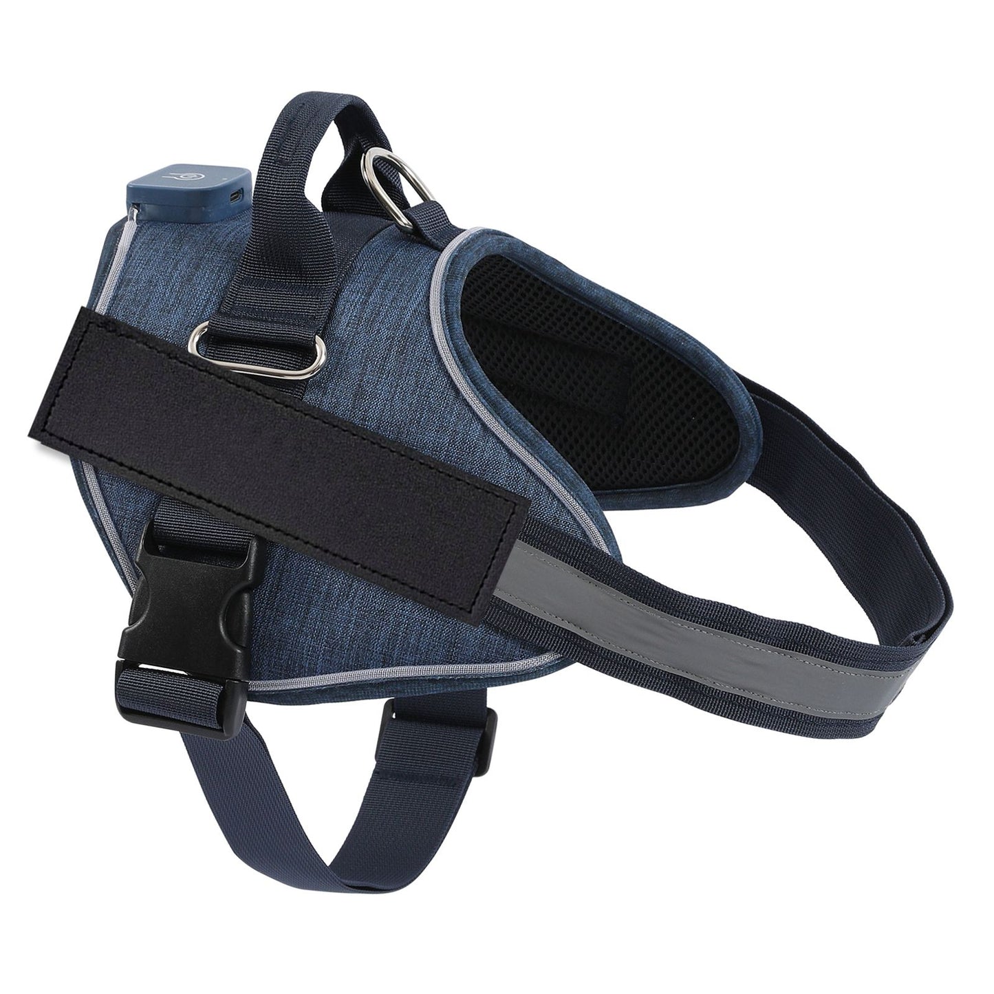 HarnessBuddy™ Lumina - Personalized LED Dog Harness