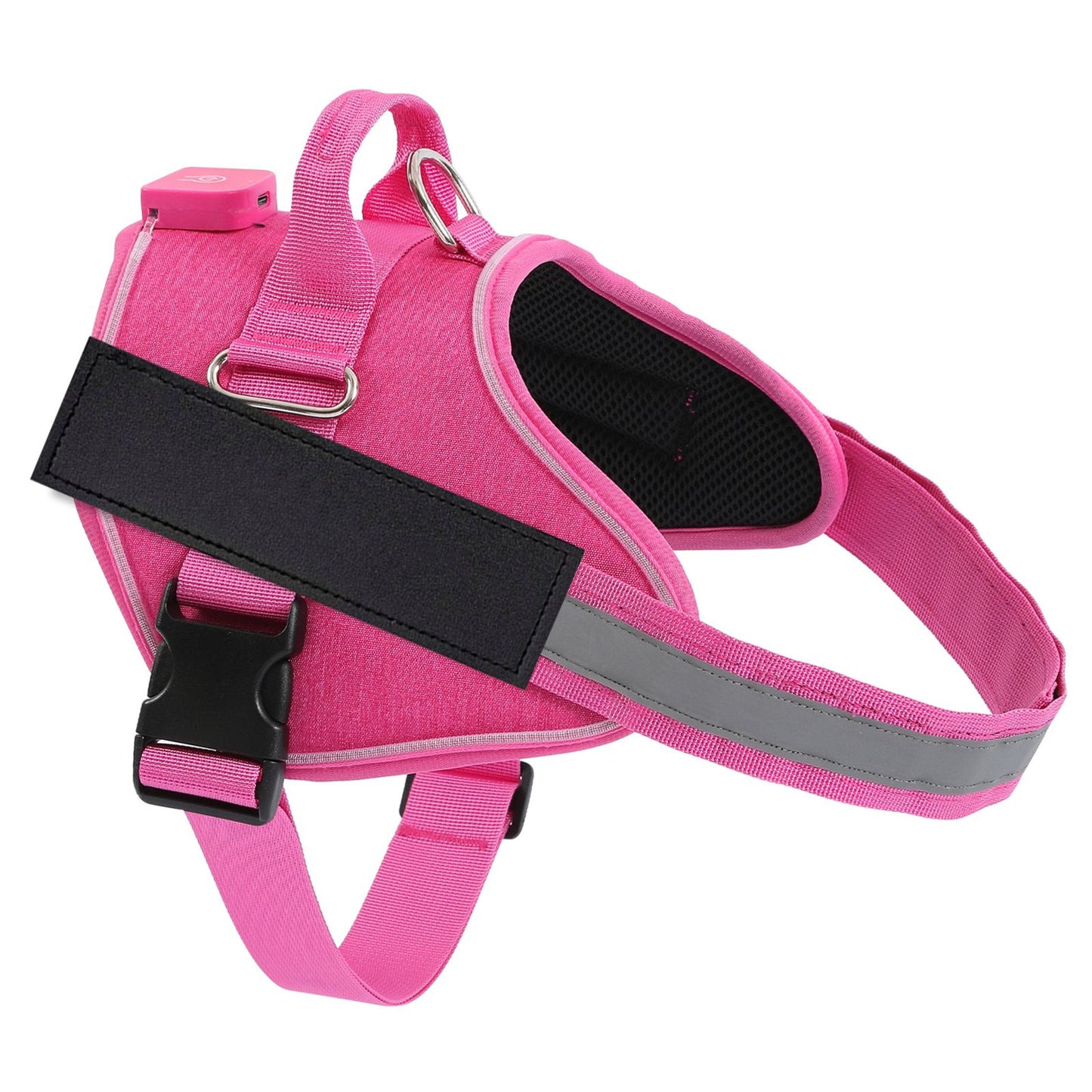 HarnessBuddy™ Lumina - Personalized LED Dog Harness