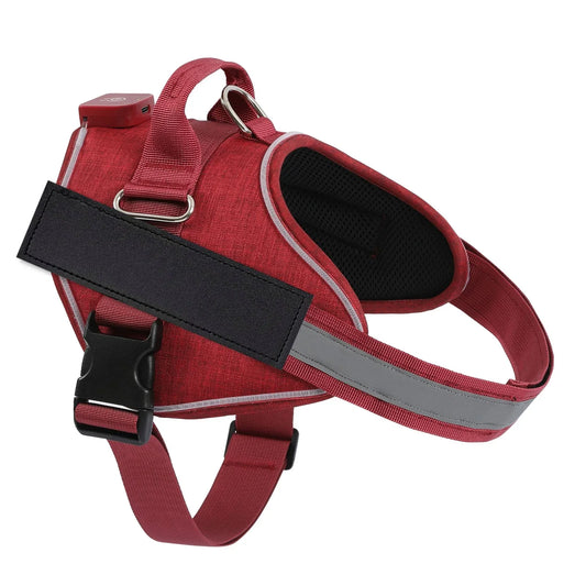 HarnessBuddy™ Lumina - Personalized LED Dog Harness