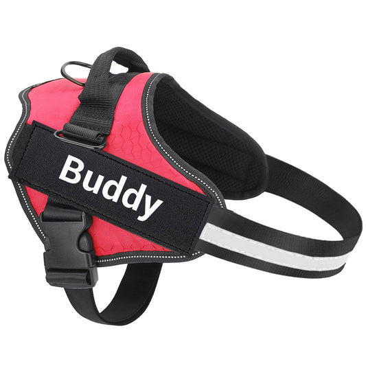 HarnessBuddy™ 2.0 Personalized Dog Harness