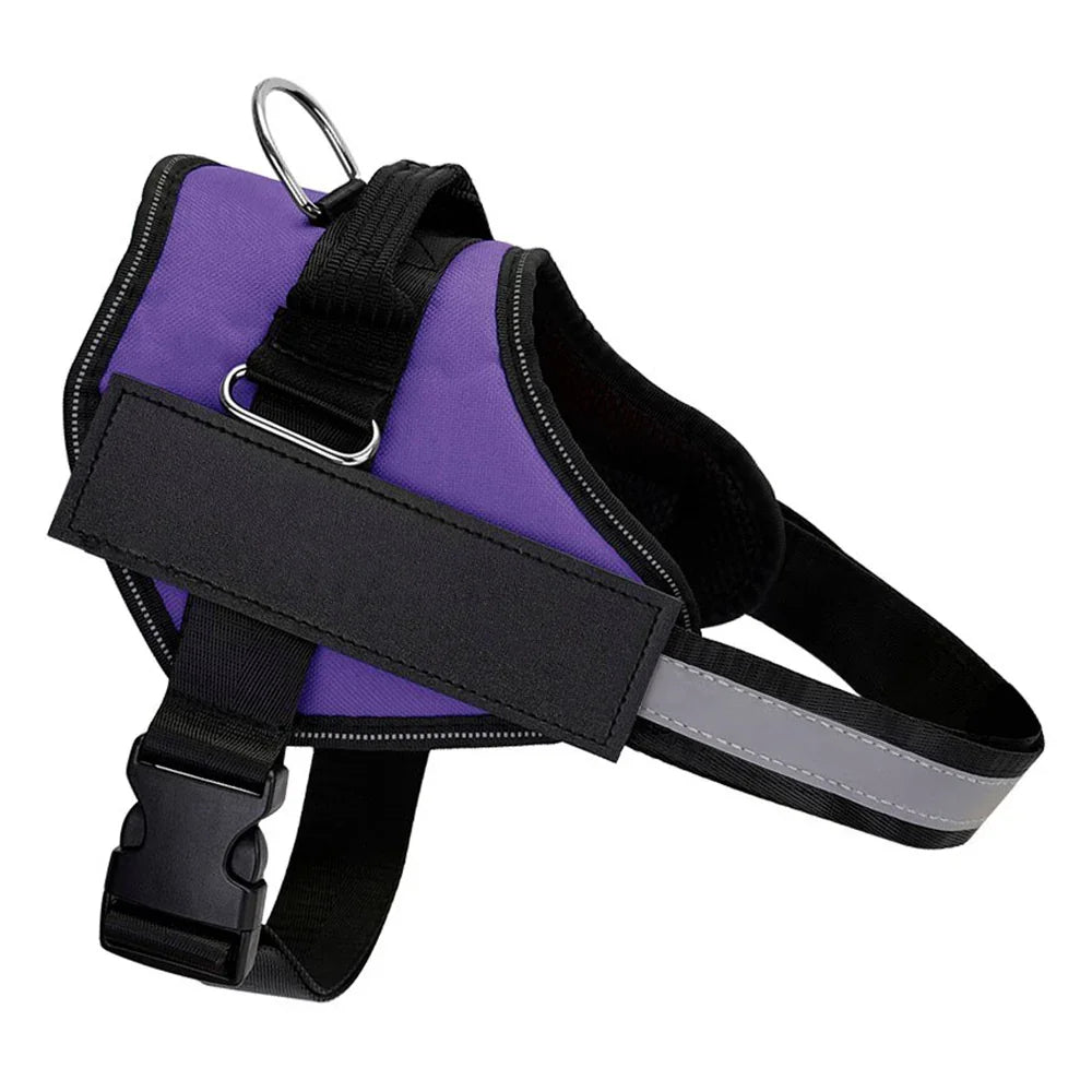 The Original HarnessBuddy™ Personalized Dog Harness