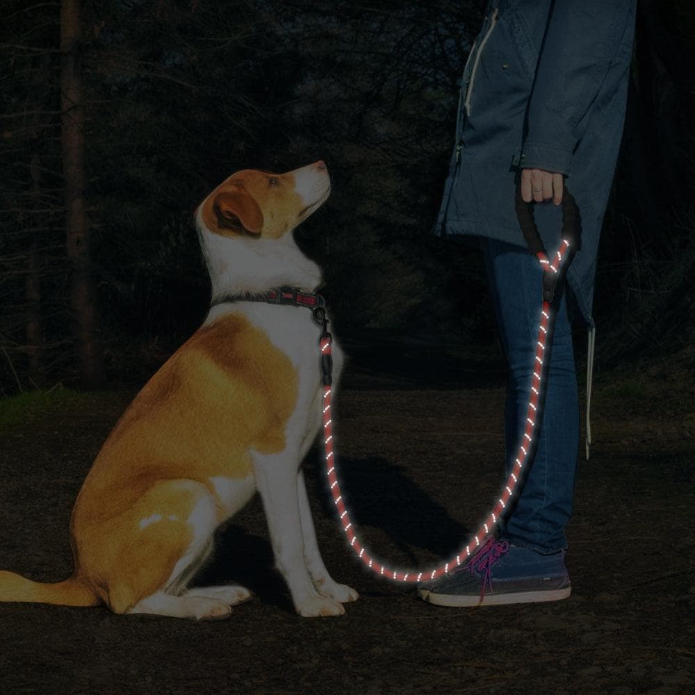 5 ft hot sale dog leash