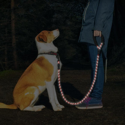 5 ft. (1.5m) HarnessBuddy Dog Leash - HarnessBuddy