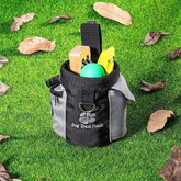 Dog treat pouch with toys and accessories on green grass with scattered leaves